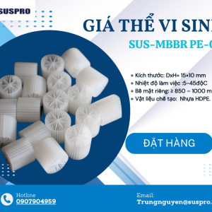  SUS-mbbr PE 09